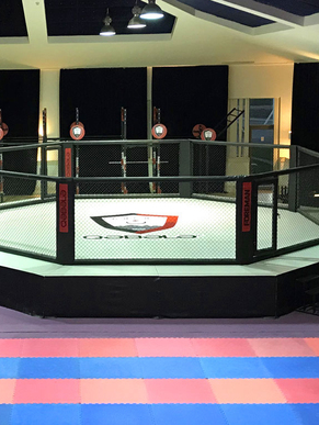 Бойцовский клуб «Gabala Fight Club»